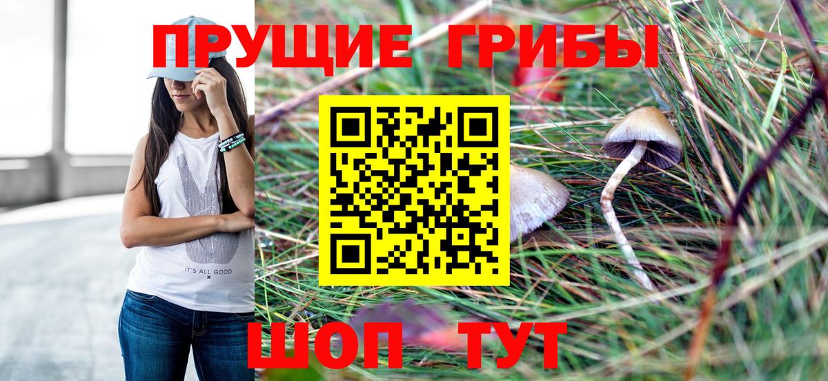 Полысаево  Галлюциногенные грибы GOLDEN TEACHER  Галлюциногенные грибы мицелий  Вход с VPN 