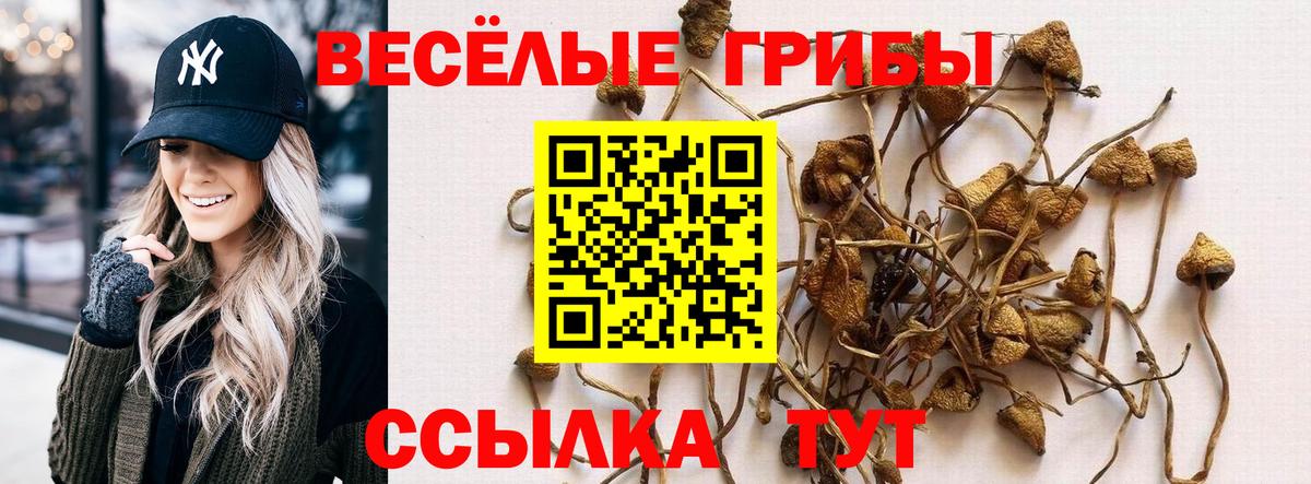 Псилоцибиновые грибы MAGIC MUSHROOMS Полысаево